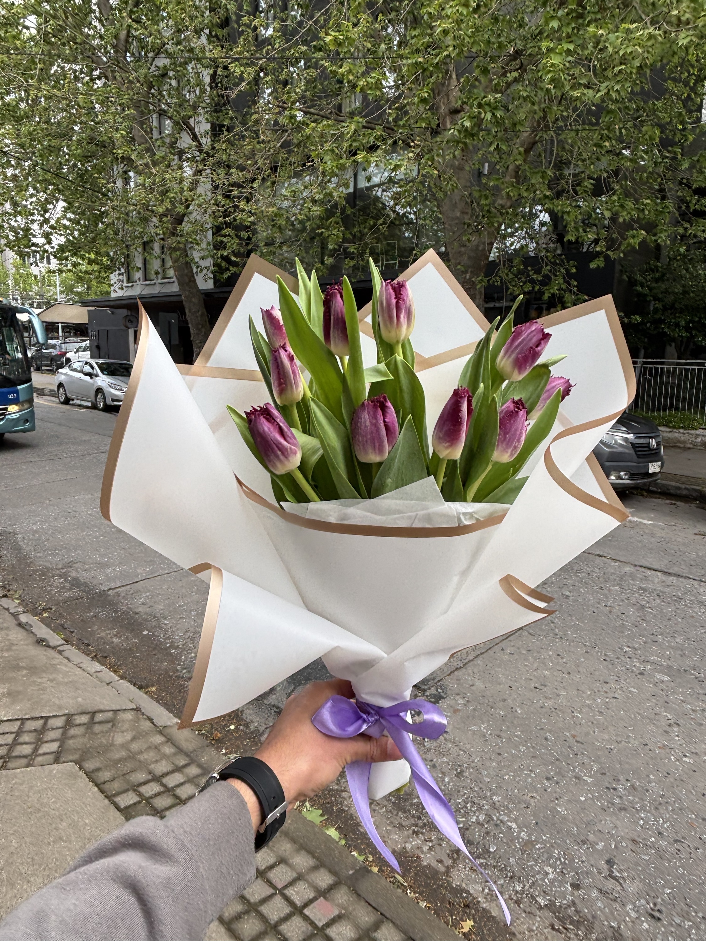 Ramo Tulipanes Morados Fringed - Imagen 4