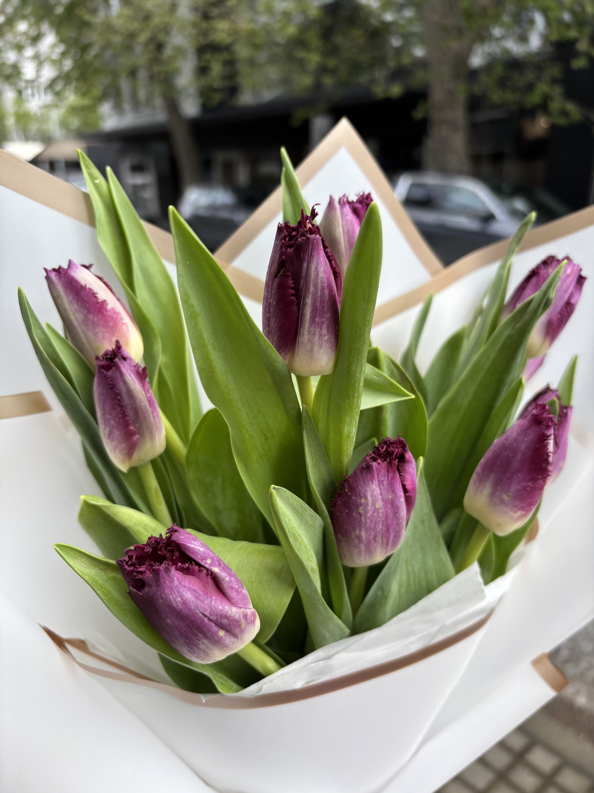 Ramo Tulipanes Morados Fringed - Imagen 2