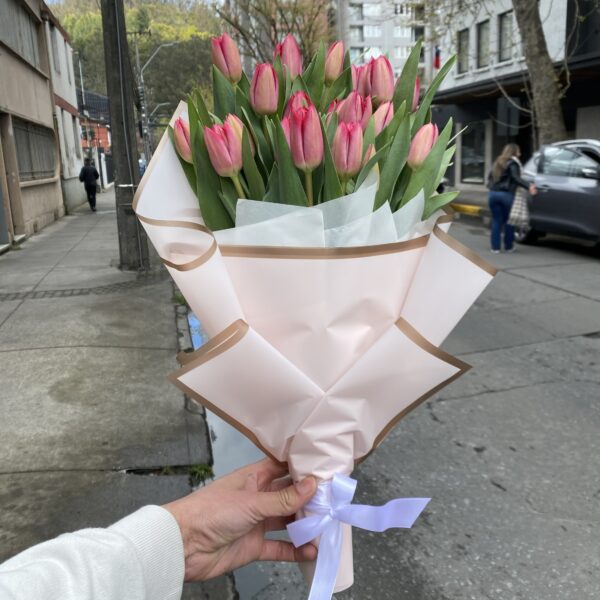 Ramo de 20 Tulipanes Rosados Premium