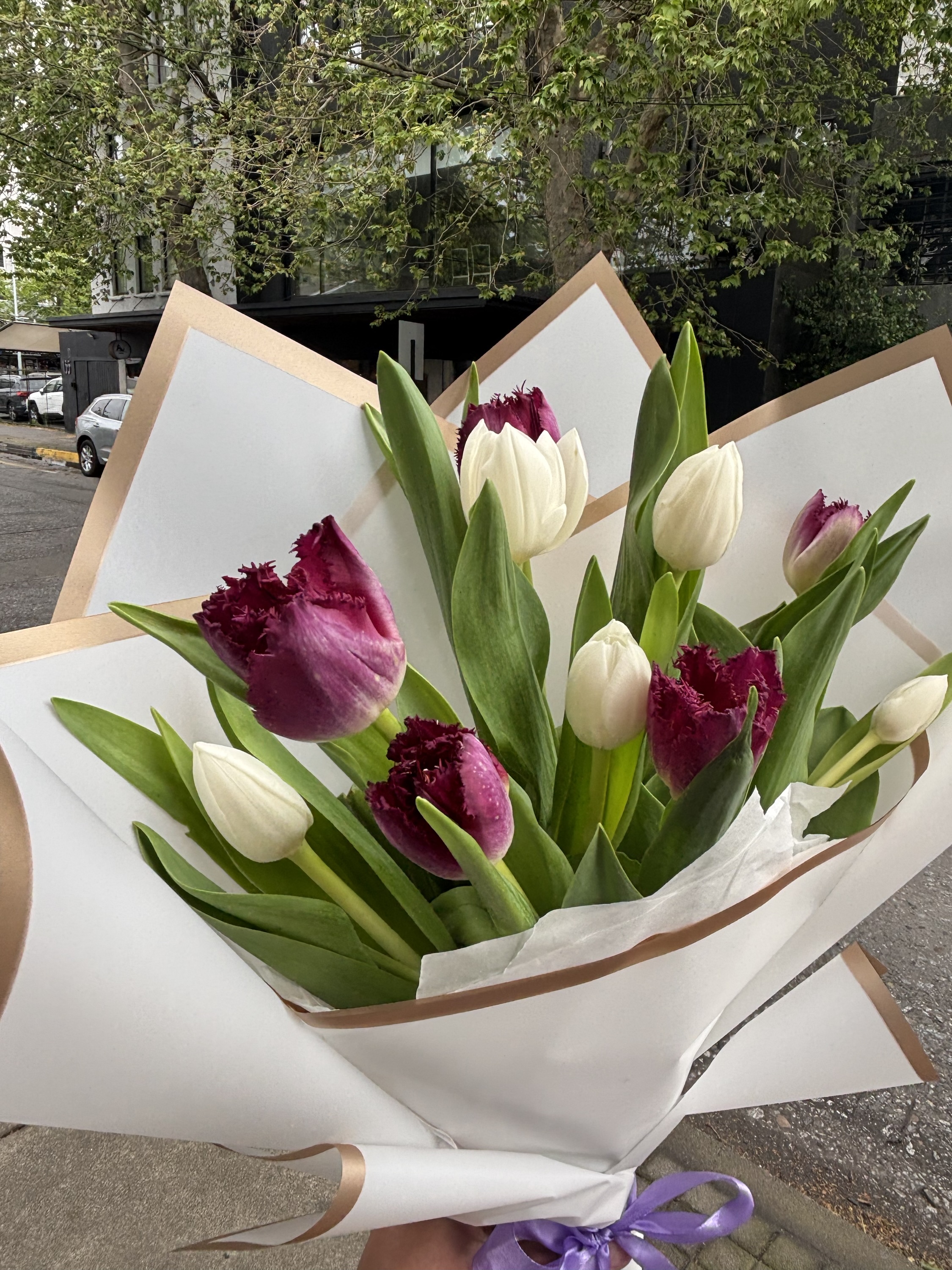 Ramo de Tulipanes Premium Lila - Blanco - Imagen 2