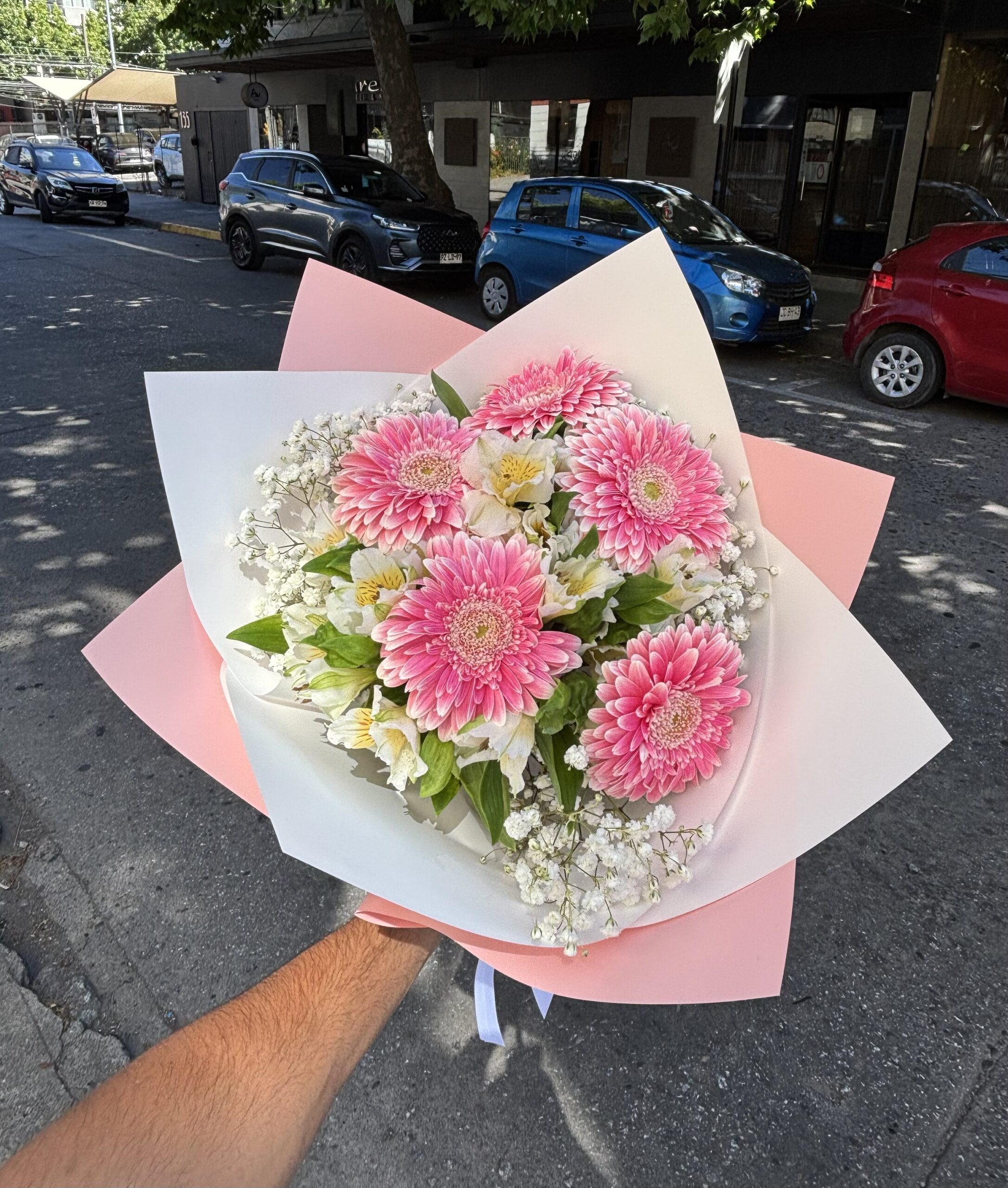 Ramo de Gerberas Premium